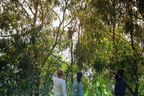 LGBT+ Friendly 3 Day Tour The Grampians, Daylesford & Ballarat - Accommodation Whitsundays 4
