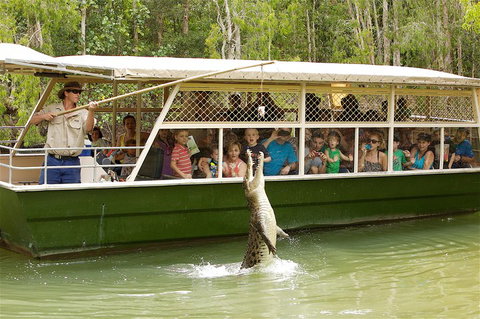Hartley's Crocodile Adventure Half-Day Tour - Accommodation Whitsundays 0