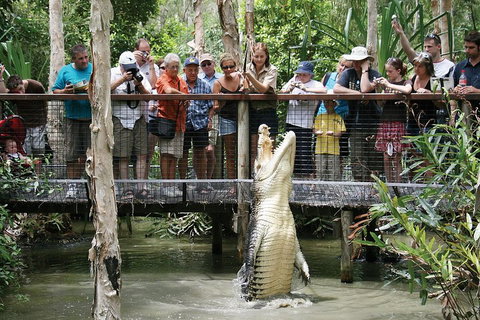 Hartley's Crocodile Adventure Half-Day Tour - Accommodation Whitsundays 1