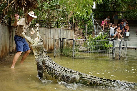 Hartley's Crocodile Adventure Half-Day Tour - Accommodation Whitsundays 2