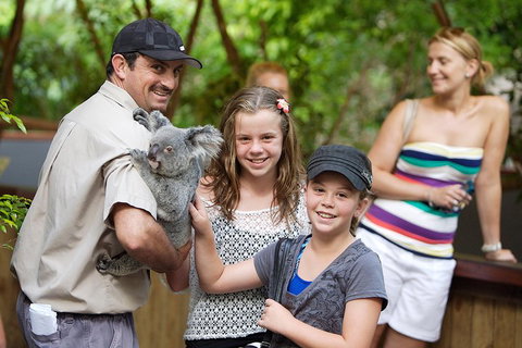 Hartley's Crocodile Adventure Half-Day Tour - Accommodation Whitsundays 3