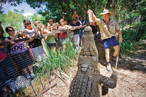 Hartley's Crocodile Adventure Half-Day Tour - Accommodation Whitsundays 4