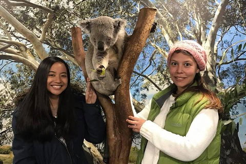 Australia Multi-City Attractions Pass - Accommodation Whitsundays 3