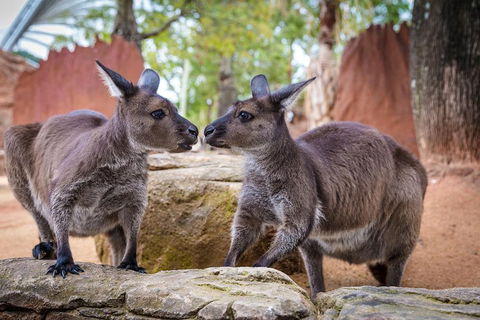 Australia Multi-City Attractions Pass - Accommodation Whitsundays 4