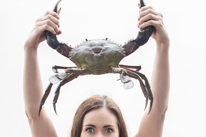 Surfers Paradise QLD Accommodation Whitsundays