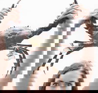 The Ultimate Gold Coast Attractions Pass - Accommodation Whitsundays