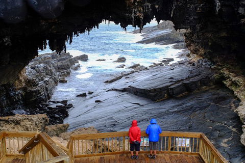 Full-Day Kangaroo Island Safari From Penneshaw - Accommodation Whitsundays 1