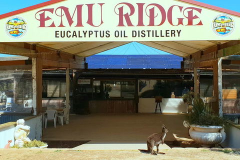 Full-Day Kangaroo Island Safari From Penneshaw - Accommodation Whitsundays 2