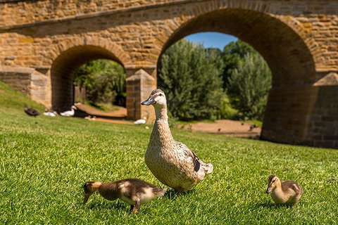 Richmond Historic Afternoon Tour From Hobart - Accommodation Whitsundays 1