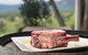 Luxury Blue Mountains Tour With Aussie BBQ Lunch And Wine Tasting - thumb 0