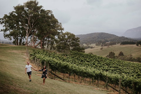 Luxury Blue Mountains Tour With Aussie BBQ Lunch And Wine Tasting - Accommodation Whitsundays 3