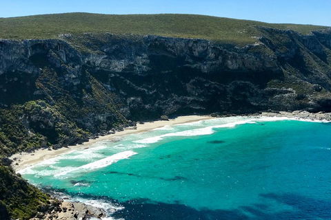 Kangaroo Island Scenic Trail Tour - Accommodation Whitsundays 4