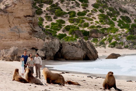 Kangaroo Island Scenic Trail Tour - Accommodation Whitsundays 5