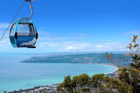 Peninsula Hot Springs Tour With Restaurant Lunch & Gondola Ride - Accommodation Whitsundays 1
