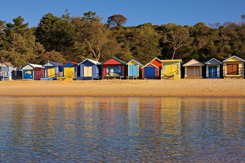 Mornington Peninsula Small Group Day Tour - Accommodation Whitsundays 0