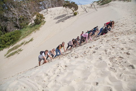 3 Day Tasmanian Wild West Coast Tour From Hobart To Launceston - Accommodation Whitsundays 2