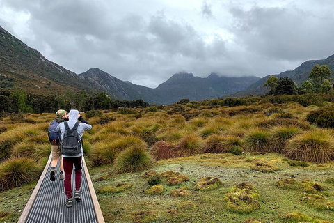 3 Day Tasmanian Wild West Coast Tour From Hobart To Launceston - Accommodation Whitsundays 3