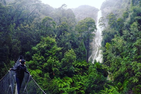 3 Day Tasmanian Wild West Coast Tour From Hobart To Launceston - Accommodation Whitsundays 4
