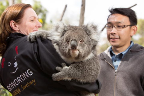 Bonorong Wildlife Park And Richmond Afternoon Tour From Hobart - Accommodation Whitsundays 0