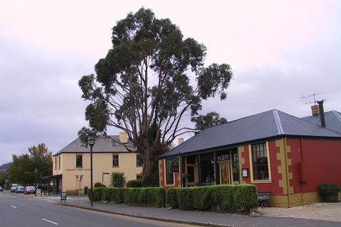 Bonorong Wildlife Park And Richmond Afternoon Tour From Hobart - Accommodation Whitsundays 3