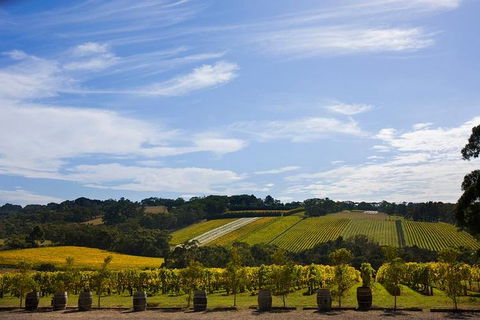 Mornington Peninsula Day Trip From Melbourne - Accommodation Whitsundays 5