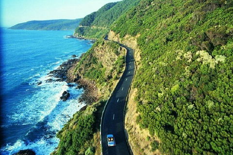 Melbourne Super Saver: Great Ocean Road + Mornington Peninsula + Attraction Pass - Accommodation Whitsundays 0