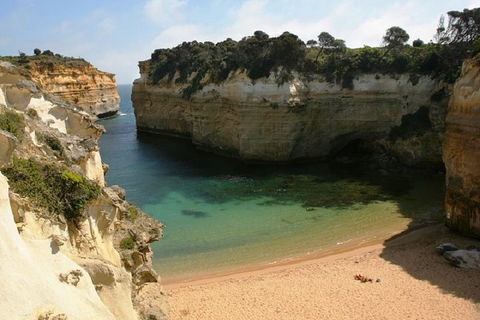 Melbourne Super Saver: Great Ocean Road + Mornington Peninsula + Attraction Pass - Accommodation Whitsundays 3
