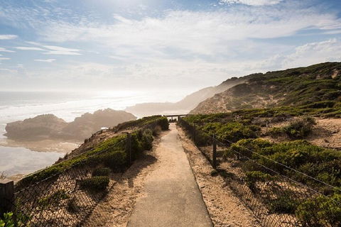 Melbourne Super Saver: Great Ocean Road + Mornington Peninsula + Attraction Pass - Accommodation Whitsundays 4
