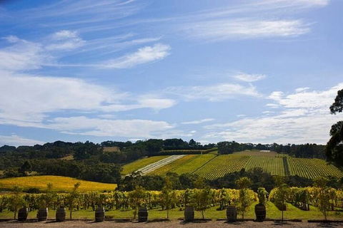 Melbourne Super Saver: Great Ocean Road + Mornington Peninsula + Attraction Pass - Accommodation Whitsundays 5