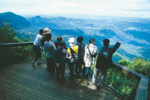 Springbrook National Park & Gold Coast Full Day Luxury Tour from Brisbane