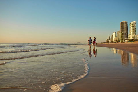 Springbrook National Park & Gold Coast Full Day Luxury Tour From Brisbane - Accommodation Whitsundays 1