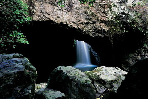 Springbrook National Park & Gold Coast Full Day Luxury Tour From Brisbane - Accommodation Whitsundays 2