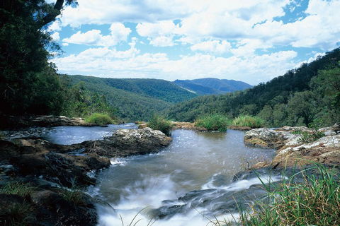 Springbrook National Park & Gold Coast Full Day Luxury Tour From Brisbane - Accommodation Whitsundays 3