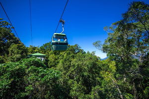 Classic Kuranda by Skyrail and Scenic Railway Including Rainforestation, Koala and Wildlife Park and Pamagirri Aboriginal Experi
