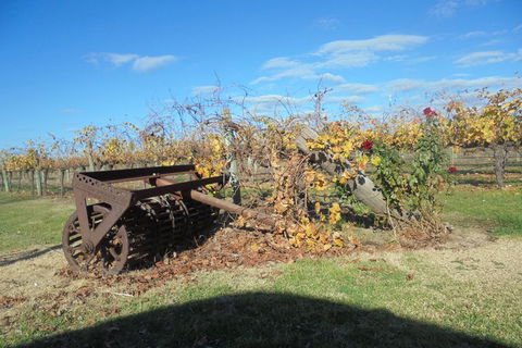 Swan Valley Tour From Perth: Wine, Beer And Chocolate Tastings - Accommodation Whitsundays 3