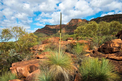 6-Day Eyre Peninsula & Flinders Ranges Adventure Tour - Accommodation Whitsundays 1