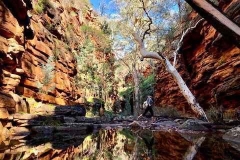 10-Day Adelaide To Perth Adventure Tour - Accommodation Whitsundays 5