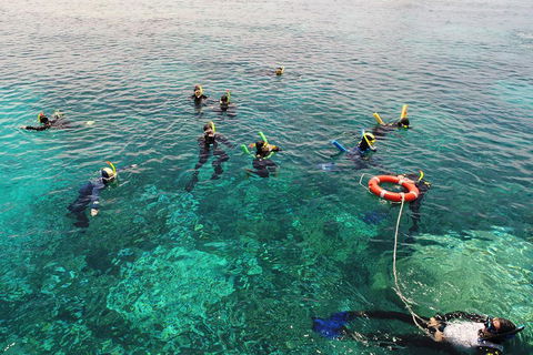 Seastar Luxury Outer Great Barrier Reef Island And Reef Tour From Cairns - Accommodation Whitsundays 2