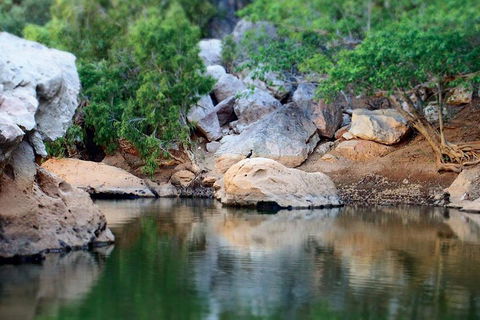 Windjana Gorge And Tunnel Creek 4WD Tour From Broome - Accommodation Whitsundays 5
