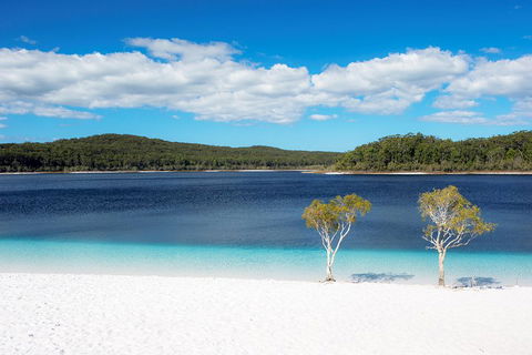 All-Inclusive Fraser Island Day Tour - Accommodation Whitsundays 3