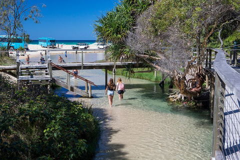All-Inclusive Fraser Island Day Tour - Accommodation Whitsundays 4