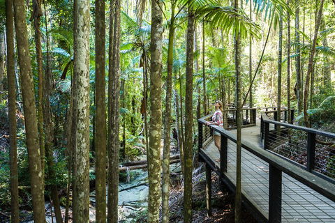 All-Inclusive Fraser Island Day Tour - Accommodation Whitsundays 5