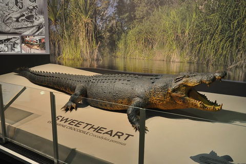 Explore Darwin City Sights Including Key Attractions - Accommodation Whitsundays 2