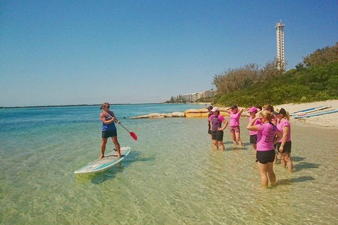 Golden Beach 1-Hour Stand-Up Paddleboard Hire On The Sunshine Coast - Accommodation Whitsundays 1
