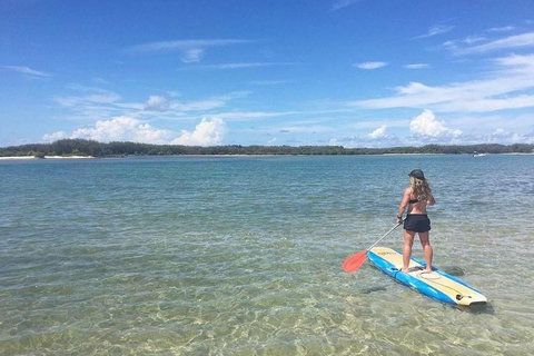 Golden Beach 1-Hour Stand-Up Paddleboard Hire On The Sunshine Coast - Accommodation Whitsundays 4