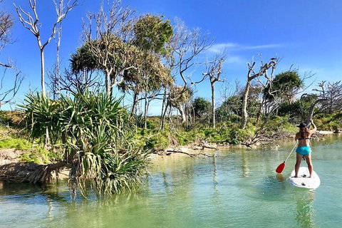 Golden Beach 1-Hour Stand-Up Paddleboard Hire On The Sunshine Coast - Accommodation Whitsundays 5