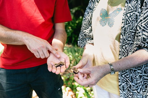 Perth Arcades And Laneways Walking Tour - Accommodation Whitsundays 0