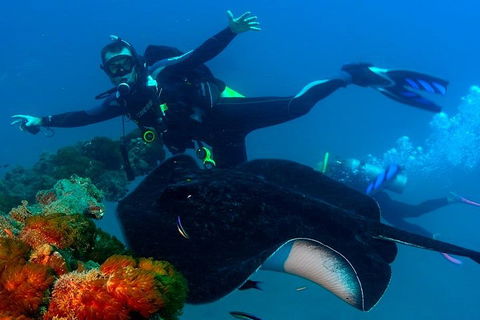 Scuba Dive The S.S. Yongala Wreck On The Great Barrier Reef. - Accommodation Whitsundays 0