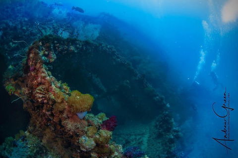 Scuba Dive The S.S. Yongala Wreck On The Great Barrier Reef. - Accommodation Whitsundays 3