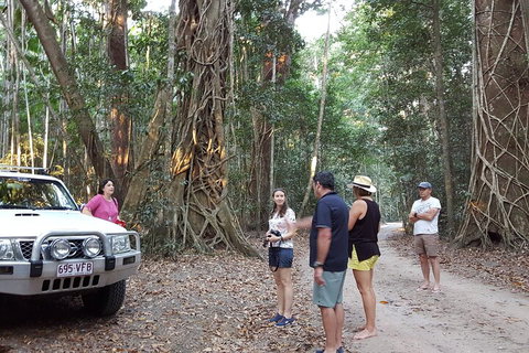 Great Beach Drive 4WD Tour - Private Charter From Noosa To Rainbow Beach - Accommodation Whitsundays 1